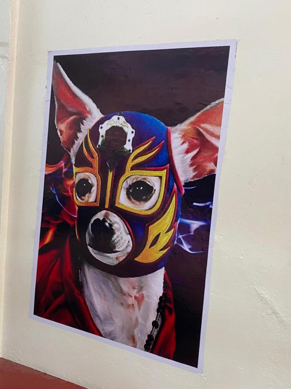 Oaxaca Mil Mascaras酒店 外观 照片